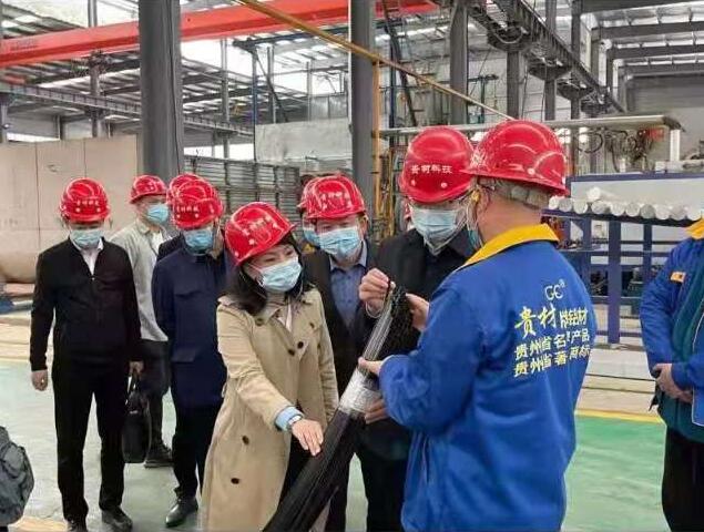 貴陽市常委、市工商聯(lián)、廣東總商會一行到我廠調(diào)研